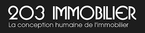 203 Immobilier